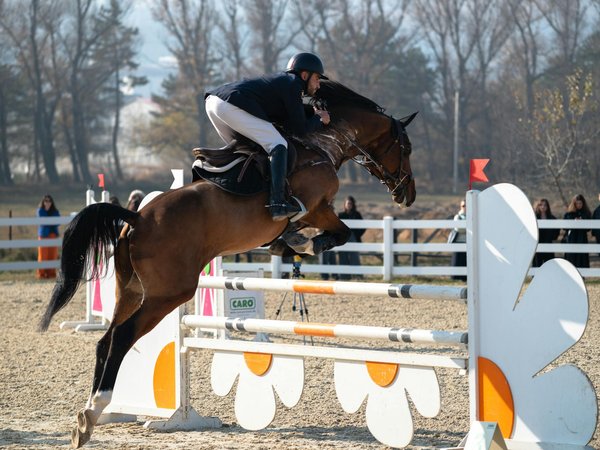 La place de la technologie dans la Coupe de la Ligue